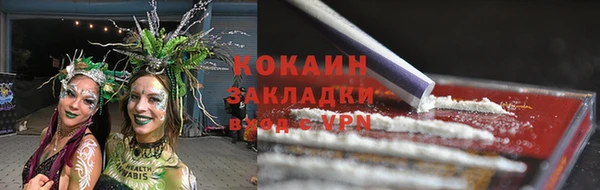 бошки Алзамай