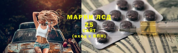 прущие грибы Алексеевка