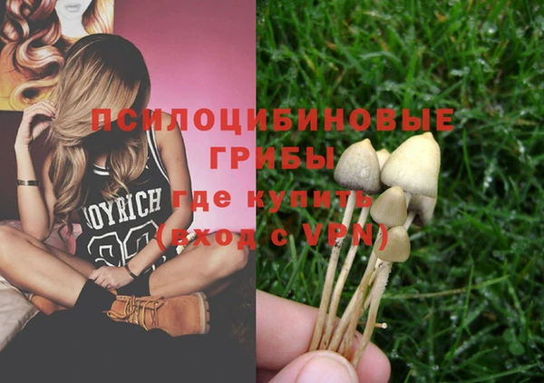 mix Алексин